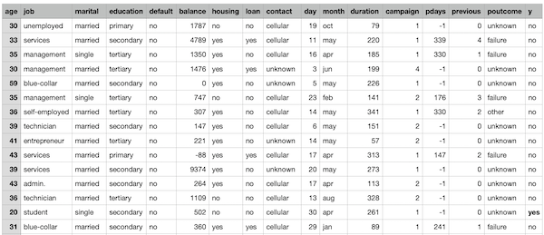 bank campaign dataset snapshot